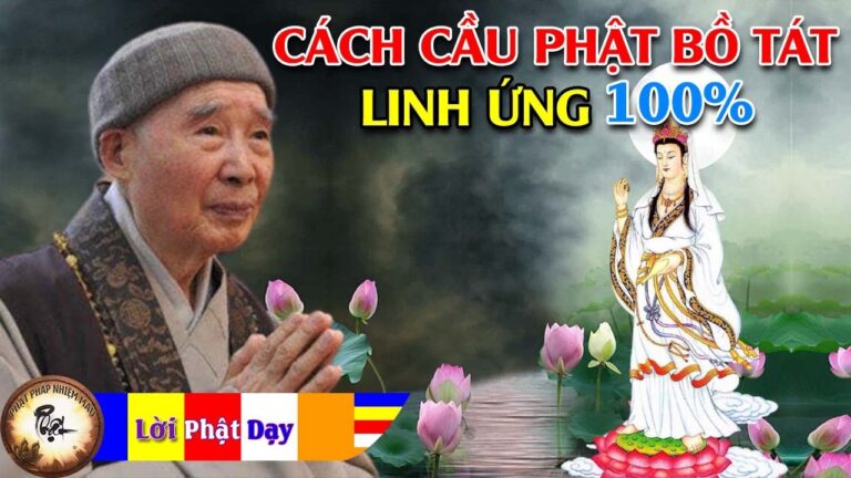 Làm thế nào cầu Phật Bồ Tát được LINH ỨNG 100% – Pháp Sư Tịnh Không | Phật Pháp Nhiệm Màu