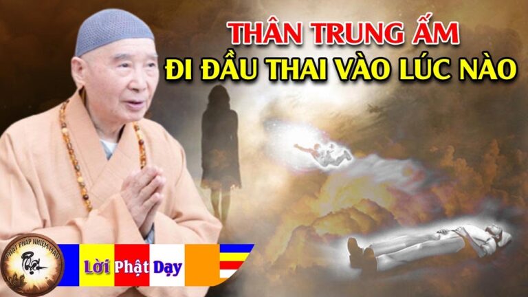 Sau khi chết thân TRUNG ẤM đi đầu thai vào lúc nào? Pháp Sư Tịnh Không | Phật Pháp Nhiệm Màu