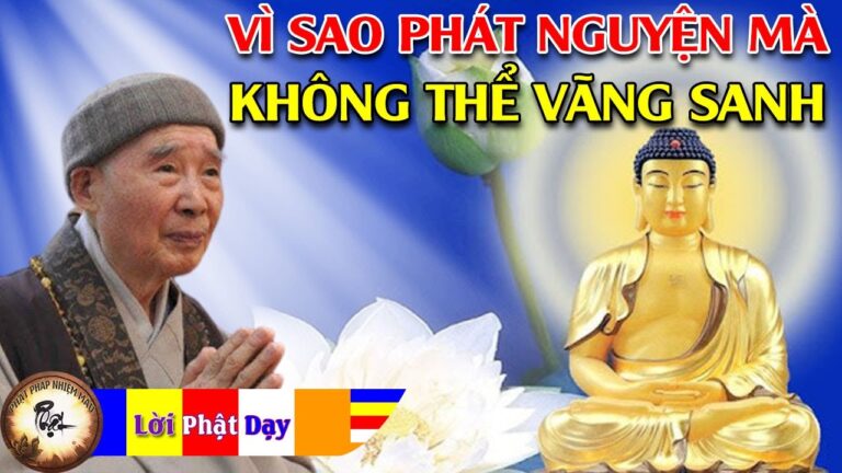 Vì Sao Đời Đời Kiếp Kiếp Phát Nguyện Mà Không Thể Vãng Sanh? HT. Tịnh Không | Phật Pháp Nhiệm Màu