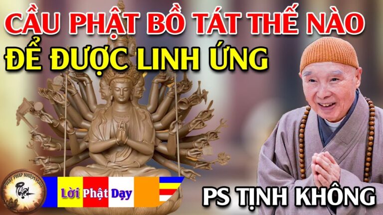 Khi gặp khó khăn cầu Phật Bồ Tát thế nào để được Linh Ứng? Pháp Sư Tịnh Không | Phật Pháp Nhiệm Màu