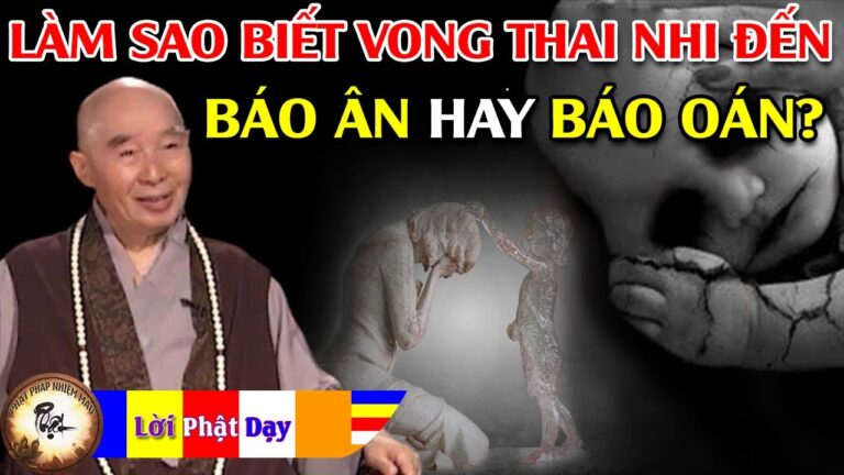 Làm thế nào để biết Thai nhi đến báo ân hay báo oán mình? Pháp Sư Tịnh Không | Phật Pháp Nhiệm Màu