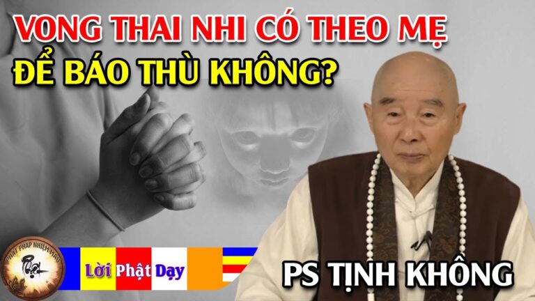 Vong linh Thai nhi có theo mẹ để báo thù không? Pháp Sư Tịnh Không | Phật Pháp Nhiệm Màu