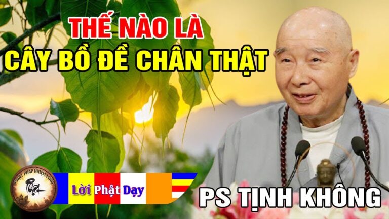 Thế nào là Cây Bồ Đề Chân Thật? Pháp Sư Tịnh Không | Phật Pháp Nhiệm Màu