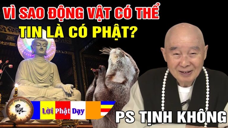 Vì sao động vật có thể tin là có Phật và Thế giới Cực Lạc? Pháp Sư Tịnh Không | Phật Pháp Nhiệm Màu