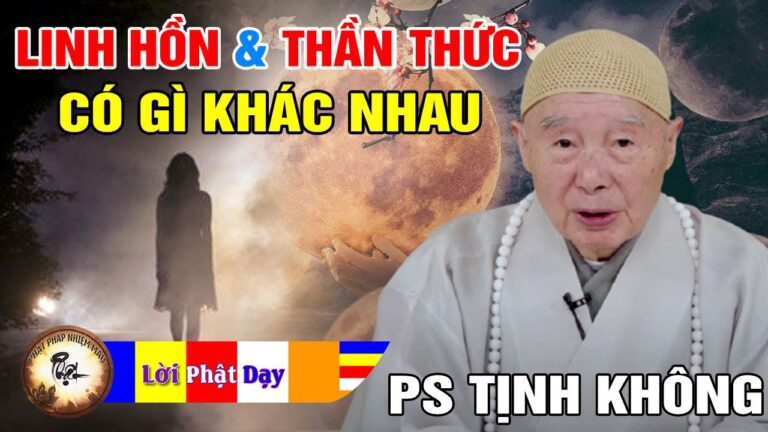 Linh Hồn và Thần Thức có gì khác nhau? Pháp Sư Tịnh Không | Phật Pháp Nhiệm Màu