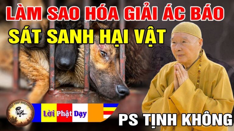 Quả Báo Sát Sanh Hại Vật – Làm Gì Để Hóa Giải Ác Báo? Pháp Sư Tịnh Không | Phật Pháp Nhiệm Màu