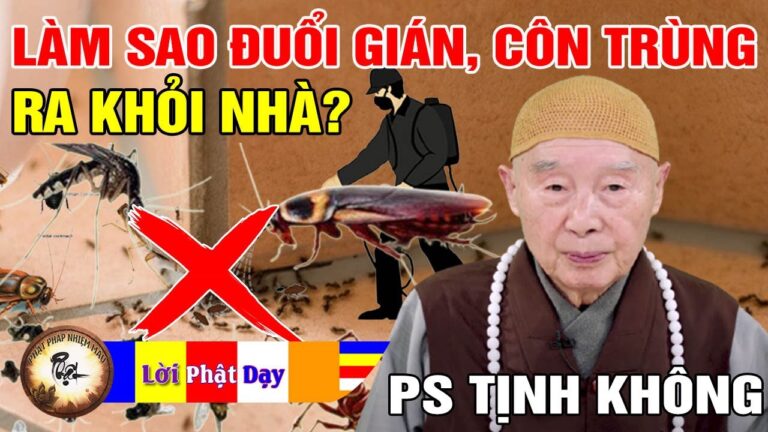 Làm thế nào để đuổi GIÁN và CÔN TRÙNG ra khỏi nhà? Pháp Sư Tịnh Không trả lời vấn đáp Phật pháp