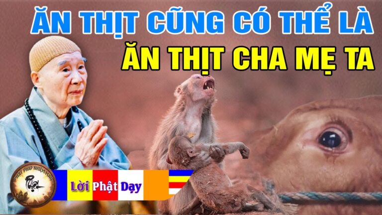 Vì sao ăn thịt cũng có thể chính là ăn thịt Cha Mẹ chúng ta? Pháp Sư Tịnh Không trả lời phỏng vấn