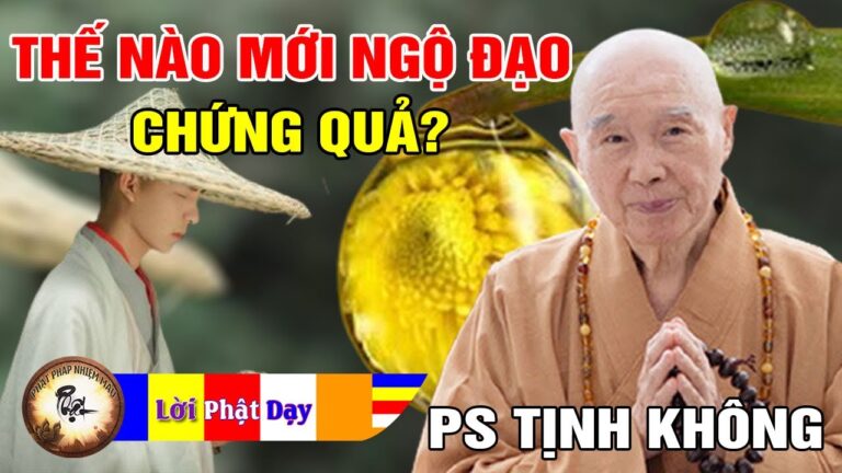 Thế nào mới là Ngộ Đạo, Chứng Quả? Pháp Sư Tịnh Không | Phật Pháp Nhiệm Màu