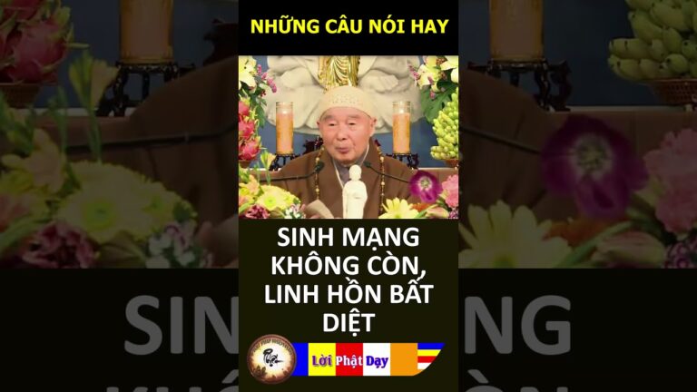 SINH MẠNG KHÔNG CÒN, LINH HỒN BẤT DIỆT – Pháp Sư Tịnh Không | Phật Pháp Nhiệm Màu #Shorts