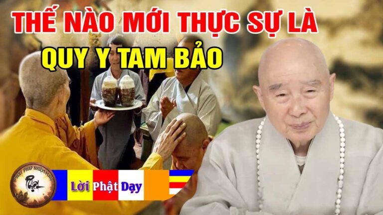 Thế nào mới thực sự là Quy Y Tam Bảo ? Pháp Sư Tịnh Không | Phật Pháp Nhiệm Màu