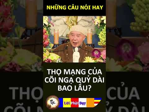 THỌ MẠNG CỦA CÕI NGẠ QUỶ DÀI BAO LÂU – Pháp Sư Tịnh Không | Phật Pháp Nhiệm Màu