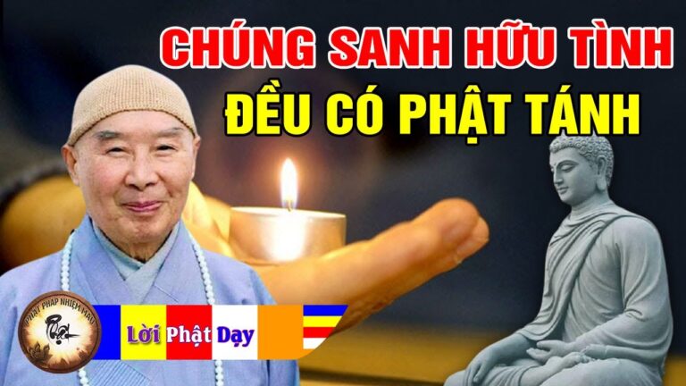 Động Vật Ruồi, Muỗi, Kiến, Gián… Đều Có Phật Tánh – Pháp Sư Tịnh Không | Phật Pháp Nhiệm Màu