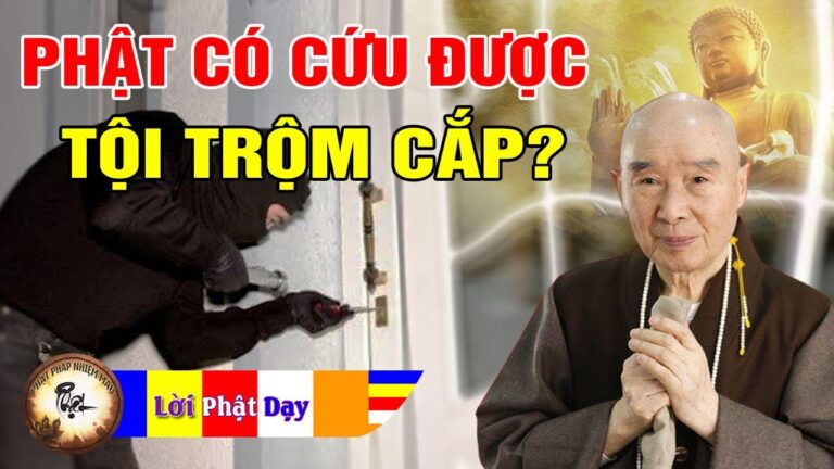 Vì sao Phật không cứu được người Trộm Cắp Của Thường Trụ? Pháp Sư Tịnh Không | Phật Pháp Nhiệm Màu