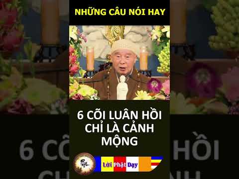 6 CÕI LUÂN HỒI CHỈ LÀ CẢNH MỘNG – Pháp Sư Tịnh Không | Phật Pháp Nhiệm Màu