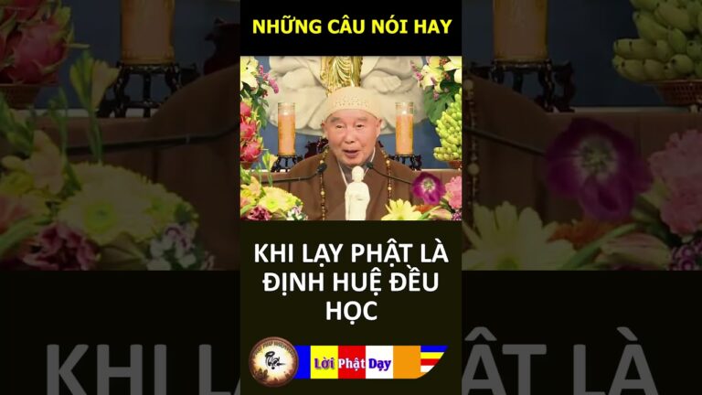 KHI LẠY PHẬT LÀ ĐỊNH HUỆ ĐỀU HỌC – Pháp Sư Tịnh Không | Phật Pháp Nhiệm Màu