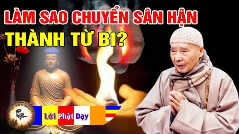 Làm thế nào chuyển Sân Hận thành Từ Bi? Pháp Sư Tịnh Không trả lời vấn đáp | Phật Pháp Nhiệm Màu