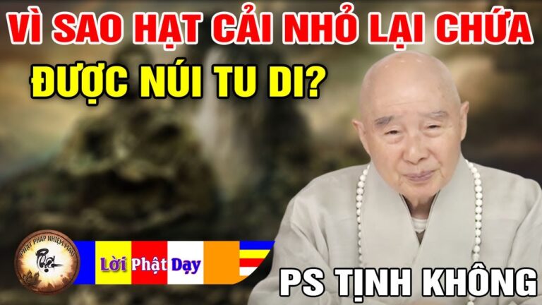 Vì sao Hạt cải nhỏ lại chứa được núi Tu di? Pháp Sư Tịnh Không | Phật Pháp Nhiệm Màu