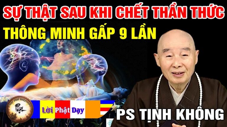 Sự thật sau khi chết Thần Thức thông minh gấp 9 lần? Pháp Sư Tịnh Không | Phật Pháp Nhiệm Màu