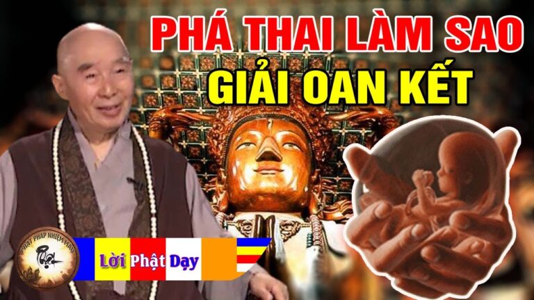 Nạo Phá Thai làm sao để hóa giải Oan Kết? Pháp Sư Tịnh Không | Phật Pháp Nhiệm Màu