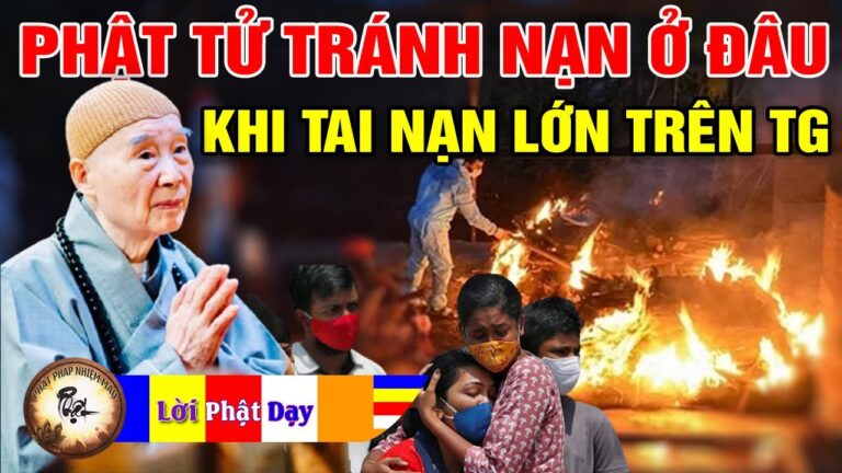 Tai nạn lớn trên toàn Thế giới, Phật tử đến đâu để tránh nạn? PS Tịnh Không | Phật Pháp Nhiệm Màu