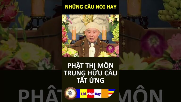 PHẬT THỊ MÔN TRUNG HỮU CẦU TẤT ỨNG – Pháp Sư Tịnh Không | Phật Pháp Nhiệm Màu