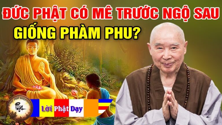 Đức Phật đến thế gian này có mê trước ngộ sau giống phàm phu không? Pháp Sư Tịnh Không | PPNM