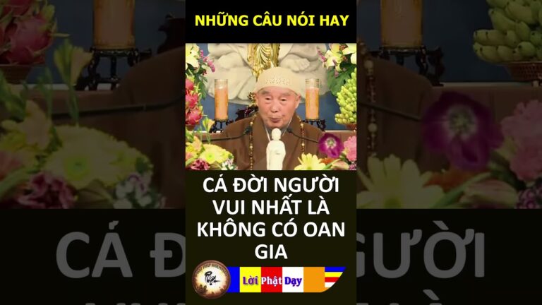 CẢ ĐỜI NGƯỜI VUI NHẤT LÀ KHÔNG CÓ OAN GIA – Pháp Sư Tịnh Không | Phật Pháp Nhiệm Màu