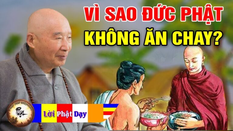 Vì sao Đức Phật Không Ăn Chay? Pháp Sư Tịnh Không | Phật Pháp Nhiệm Màu