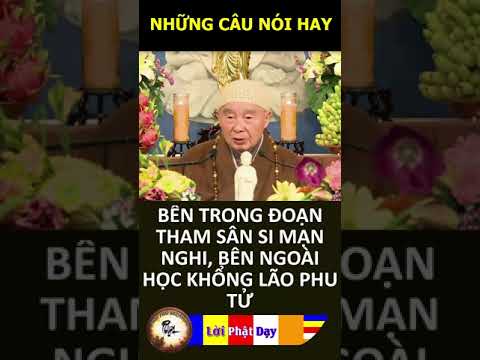 BÊN TRONG ĐOẠN THAM SÂN SI MẠN NGHI, BÊN NGOÀI HỌC KHỔNG LÃO PHU TỬ – Pháp Sư Tịnh Không | PPNM