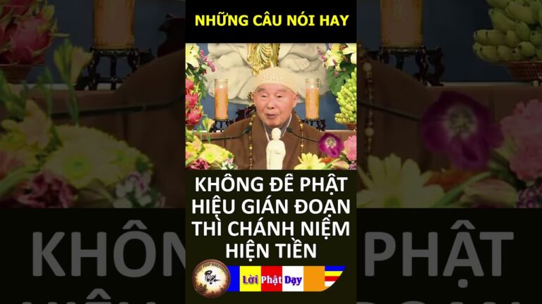 KHÔNG ĐỂ PHẬT HIỆU GIÁN ĐOẠN THÌ CHÁNH NIỆM HIỆN TIỀN – Pháp Sư Tịnh Không | Phật Pháp Nhiệm Màu