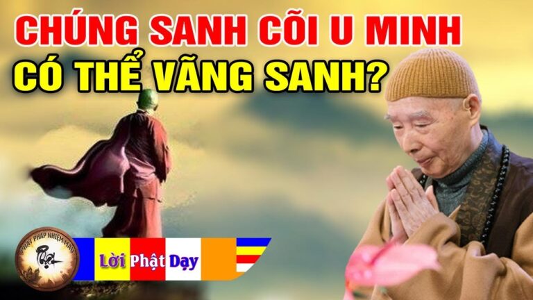 Chúng sanh cõi u minh có thể vãng sanh không? Pháp Sư Tịnh Không | Phật Pháp Nhiệm Màu