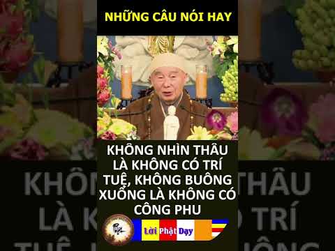 KHÔNG NHÌN THẤU LÀ KHÔNG CÓ TRÍ TUỆ, KHÔNG BUÔNG XUỐNG LÀ KHÔNG CÓ CÔNG PHU – PS Tịnh Không | PPNM