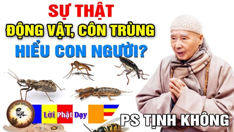 Sự thật Động Vật, Côn Trùng có thể hiểu được Con Người – Pháp Sư Tịnh Không | Phật Pháp Nhiệm Màu