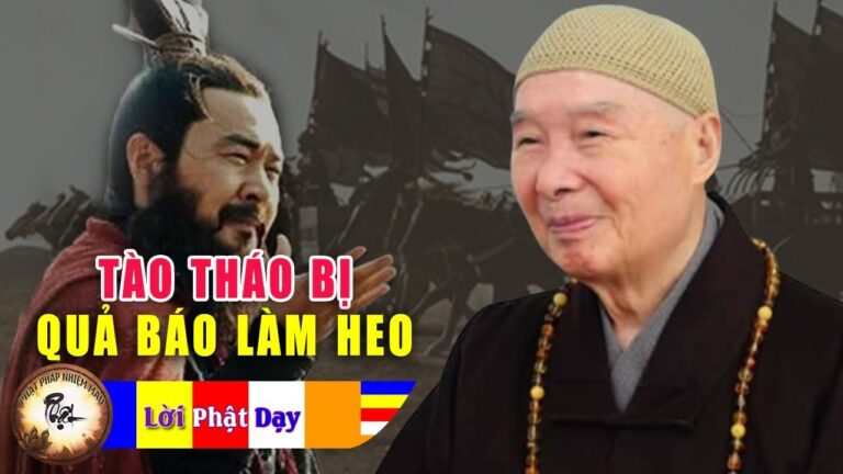 Sự thật Tào Tháo bị quả báo làm Heo – Phỏng Vấn Pháp Sư Tịnh Không – Nhân quả báo ứng không sai 1 ly