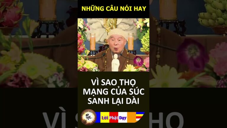 VÌ SAO THỌ MẠNG CỦA SÚC SANH LẠI DÀI – Pháp Sư Tịnh Không | Phật Pháp Nhiệm Màu