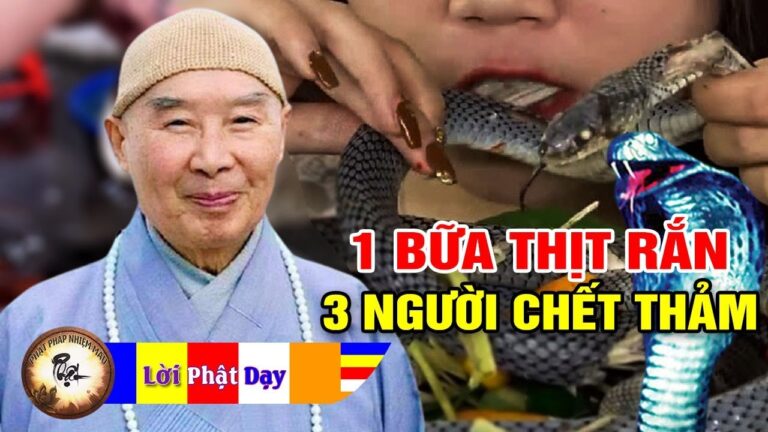 1 bữa Thịt Rắn 3 người Chết Thảm – Phỏng Vấn Pháp Sư Tịnh Không – Nhân quả báo ứng không sai 1 ly