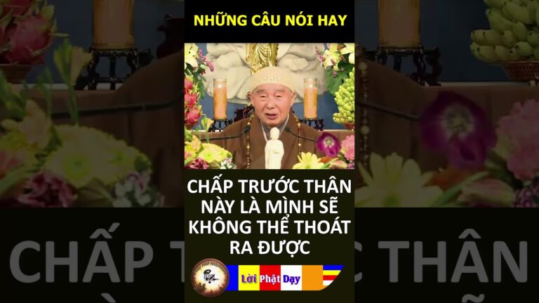 CHẤP TRƯỚC THÂN NÀY LÀ MÌNH SẼ KHÔNG THỂ THOÁT RA ĐƯỢC – Pháp Sư Tịnh Không | Phật Pháp Nhiệm Màu