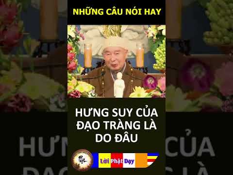 HƯNG SUY CỦA ĐẠO TRÀNG LÀ DO ĐÂU – Pháp Sư Tịnh Không | Phật Pháp Nhiệm Màu