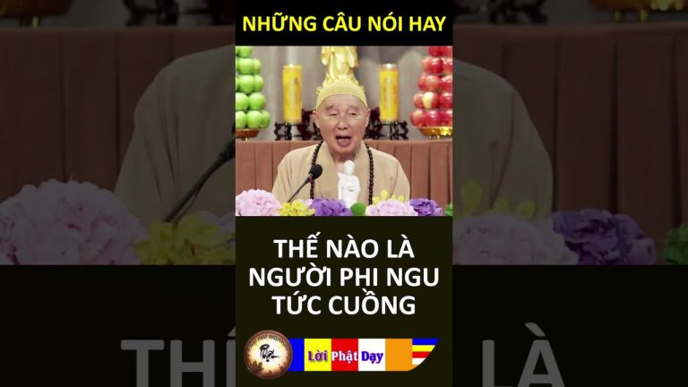 THẾ NÀO LÀ NGƯỜI PHI NGU TỨC CUỒNG – Pháp Sư Tịnh Không | Phật Pháp Nhiệm Màu