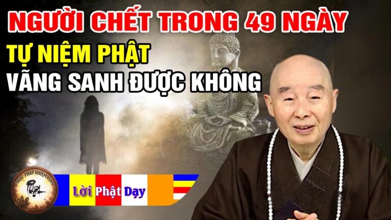 Người chết trong 49 ngày Thân Trung Ấm có tự niệm Phật vãng sanh được không? PS Tịnh Không | PPNM