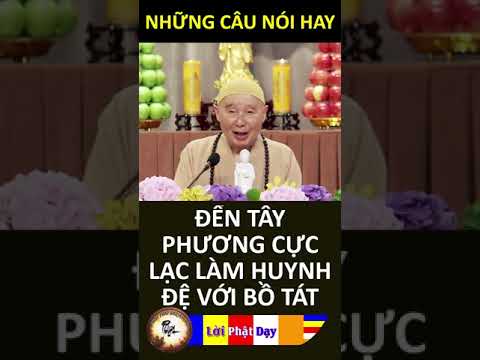 ĐẾN TÂY PHƯƠNG LÀ PHÁP GIỚI BÌNH ĐẲNG – Pháp Sư Tịnh Không | Phật Pháp Nhiệm Màu