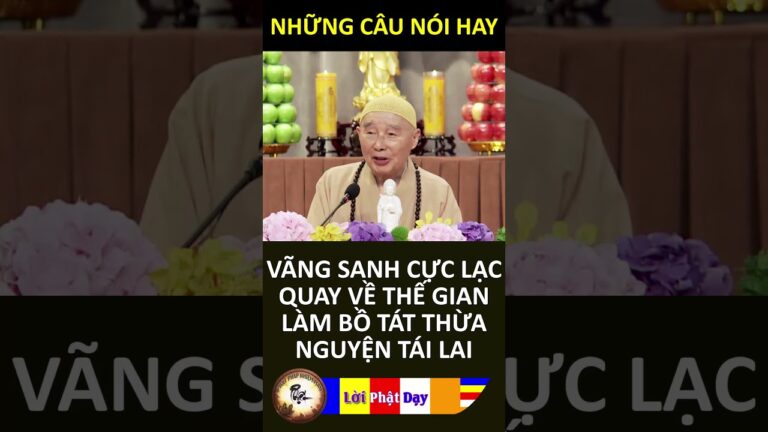 VÃNG SANH CỰC LẠC QUAY VỀ THẾ GIAN LÀM BỒ TÁT THỪA NGUYỆN TÁI LAI – PS Tịnh Không | Phật Pháp Nhiệm