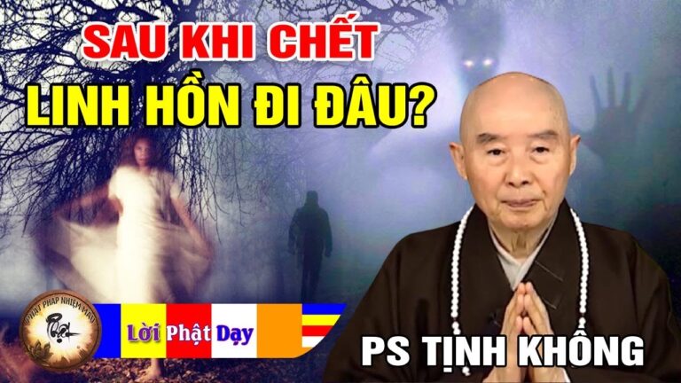 Sự thật LINH HỒN sau khi chết sẽ đi về đâu – Pháp Sư Tịnh Không | Phật Pháp Nhiệm Màu