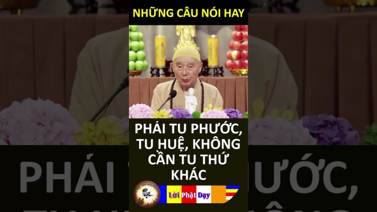 PHẢI TU PHƯỚC, TU HUỆ, KHÔNG CẦN TU THỨ KHÁC – Pháp Sư Tịnh Không | Phật Pháp Nhiệm Màu