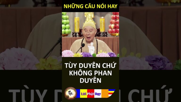 TÙY DUYÊN CHỨ KHÔNG PHAN DUYÊN – Pháp Sư Tịnh Không | Phật Pháp Nhiệm Màu