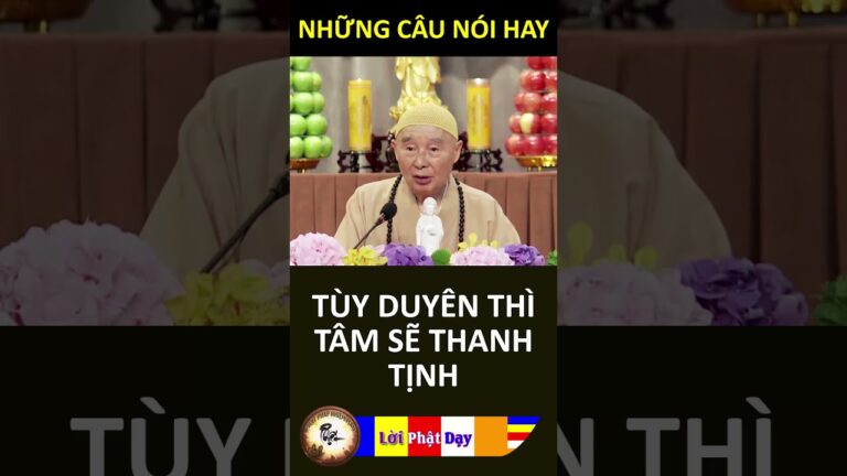 TÙY DUYÊN THÌ TÂM SẼ THANH TỊNH – Pháp Sư Tịnh Không | Phật Pháp Nhiệm Màu