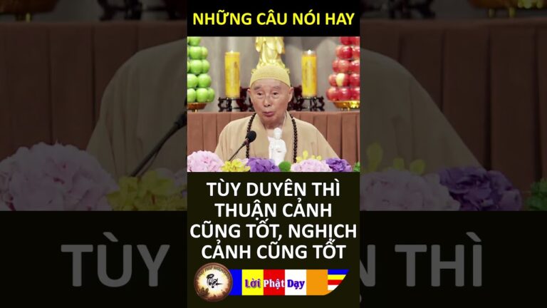 TÙY DUYÊN THÌ THUẬN CẢNH CŨNG TỐT, NGHỊCH CẢNH CŨNG TỐT – Pháp Sư Tịnh Không | Phật Pháp Nhiệm Màu