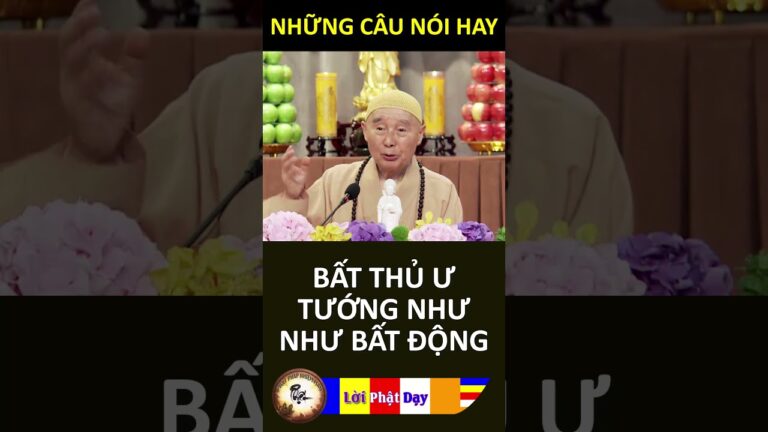 BẤT THỦ Ư TƯỚNG NHƯ NHƯ BẤT ĐỘNG – Pháp Sư Tịnh Không | Phật Pháp Nhiệm Màu