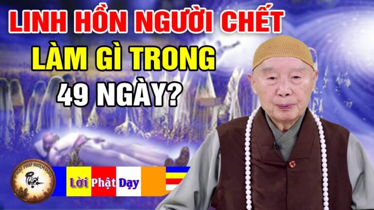 LINH HỒN Người Mất Đi Đâu, Làm Gì, Trong 49 Ngày? Pháp Sư Tịnh Không | Phật Pháp Nhiệm Màu